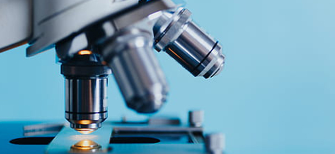 Inspection & Metrology Support